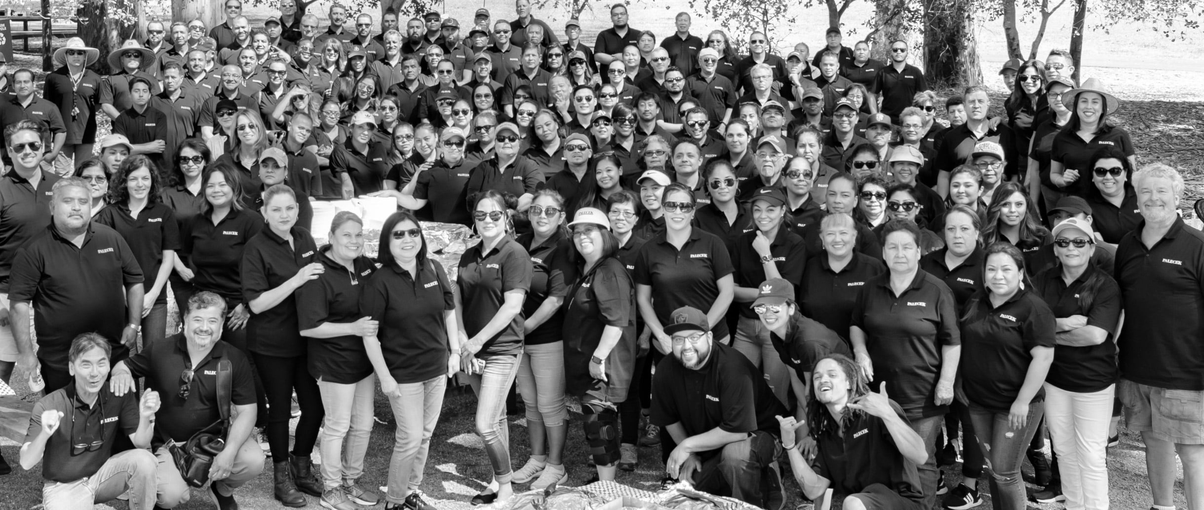  the entire palecek team in black polos in a park setting