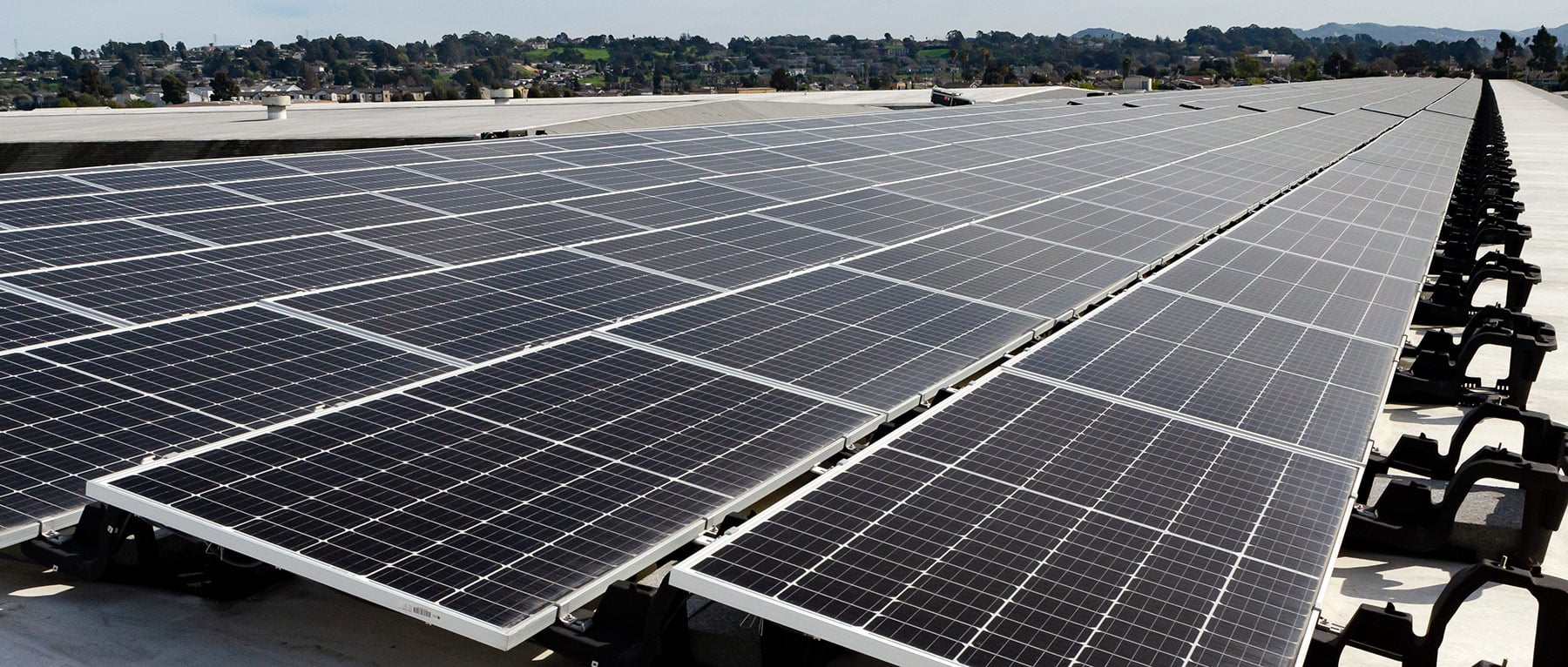 hundreds of solar panels on the richmond california palecek headquarters